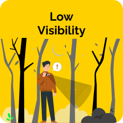 Low Visibility
